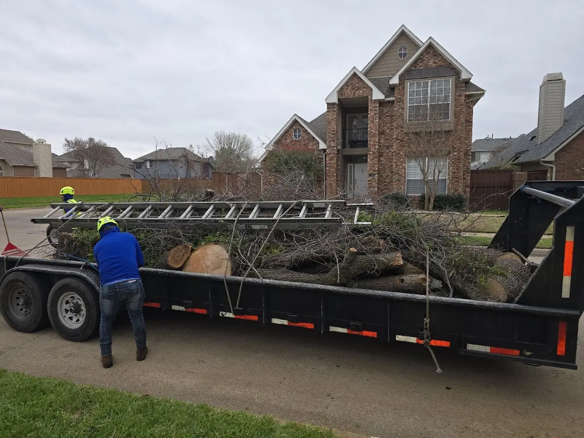 Expert Lot Clearing with proper safety equipment in Holman